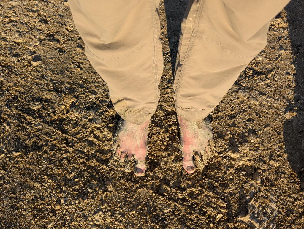 PXL_20250306_054032313