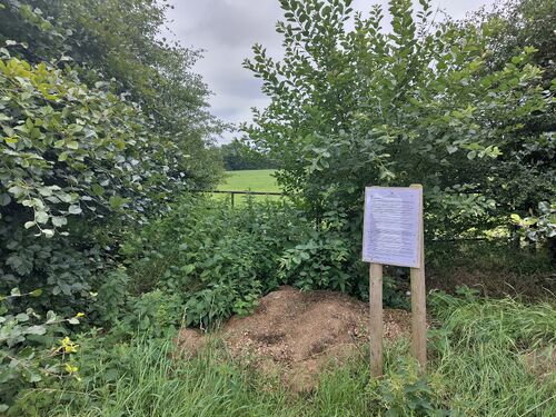 Herbata_DC_location_20250723