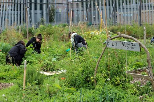 Some of our members digging deep in Bridgefoot St Community Garden